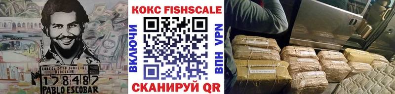 купить наркотики цена  mega как войти  КОКАИН FishScale  Светлоград 