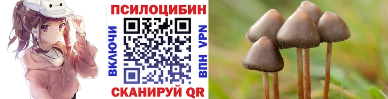 Псилоцибиновые грибы GOLDEN TEACHER  hydra маркетплейс  Светлоград 